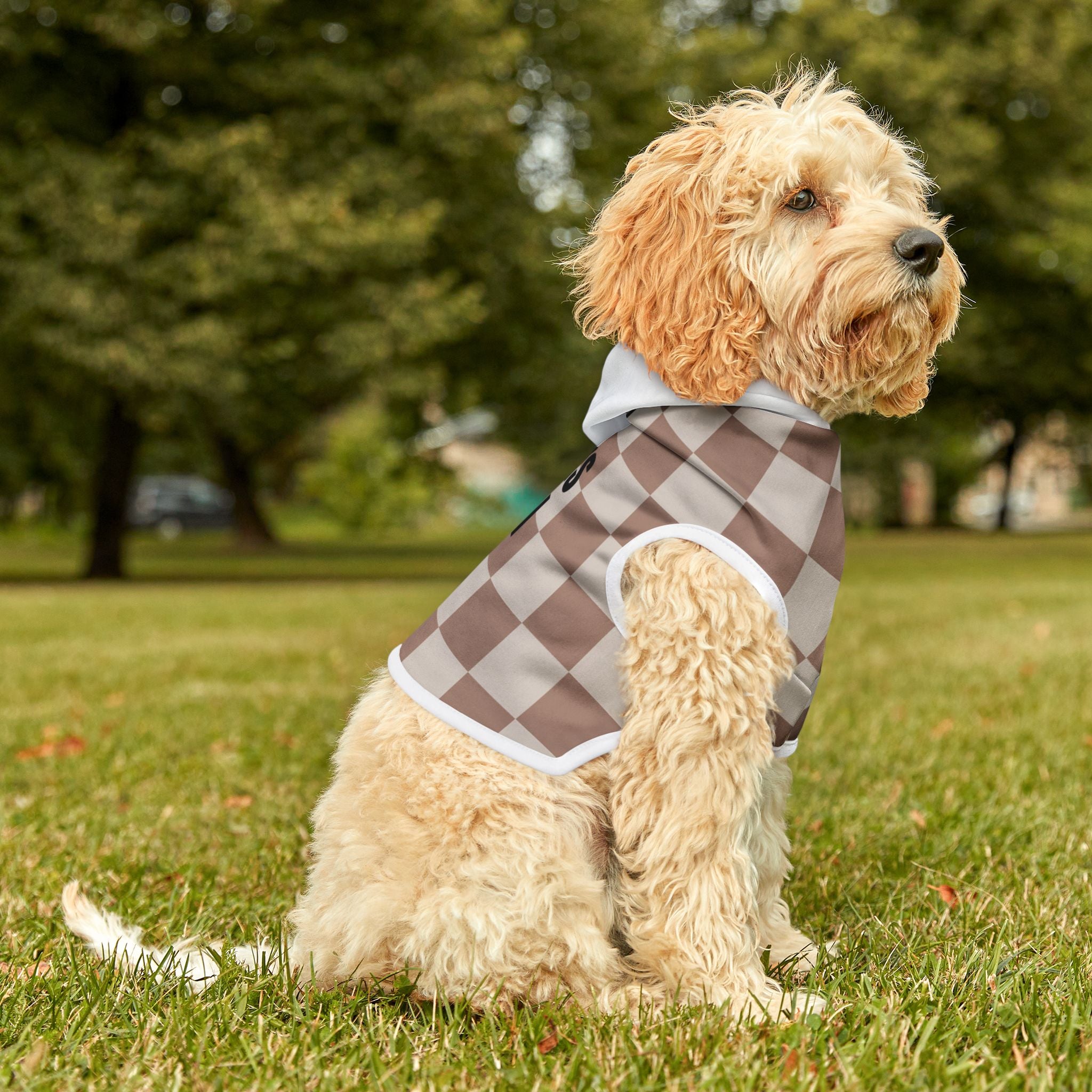 Dog Hoodie- "Zero Barks Given" Stylish Dog Apparel, Cute Pet Clothing, Fashionable Canine Hoodie, Dog Lover Gift, Pet Birthday Outfit